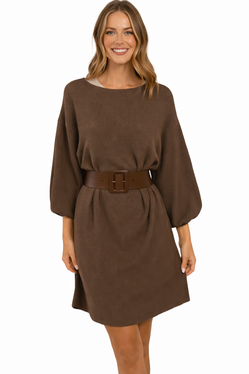 Brown Dress Winter